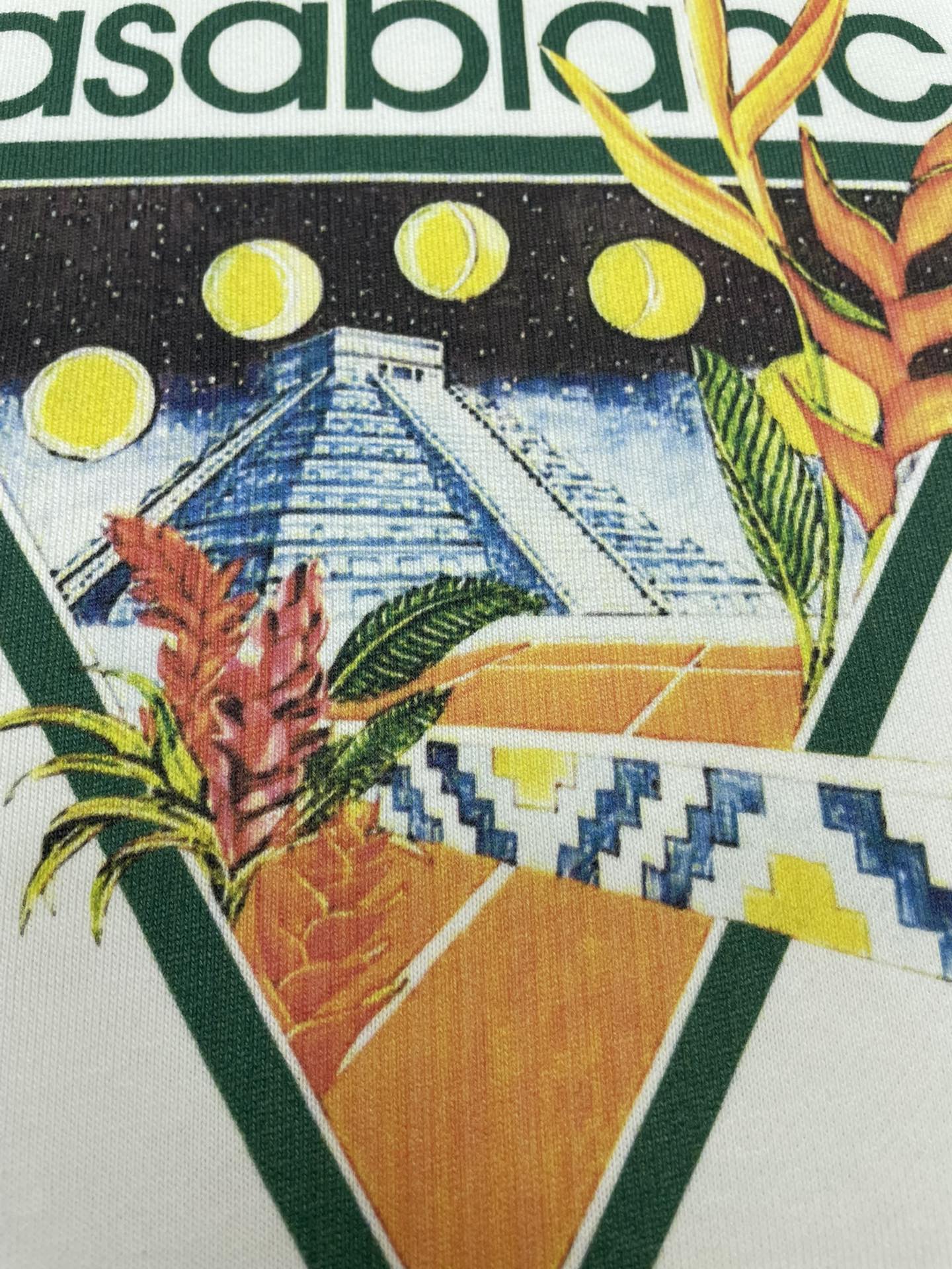 PIC_6